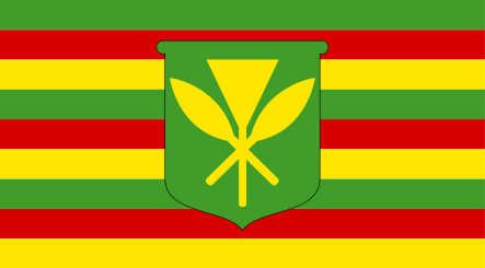 Hawaii Kanaka Maoli Flag (3' x 5')