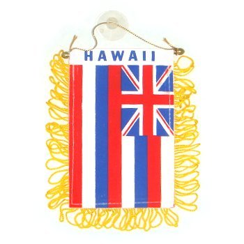 Mini Hawaii Flag (3" x 5")